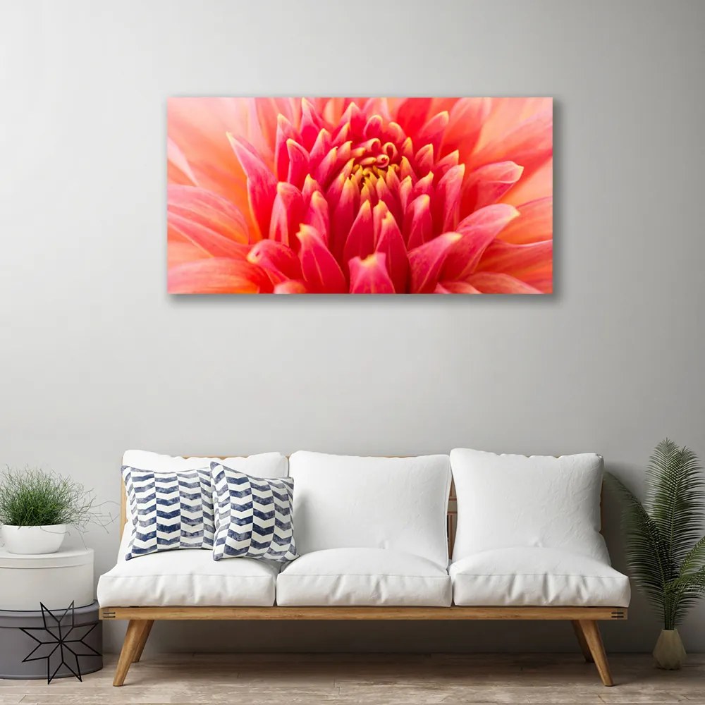 Obraz Canvas Kvet rastlina príroda 100x50 cm