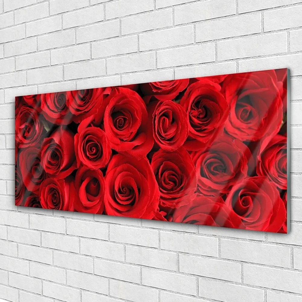 Obraz na akrylátovom skle Ruže kvety 125x50 cm