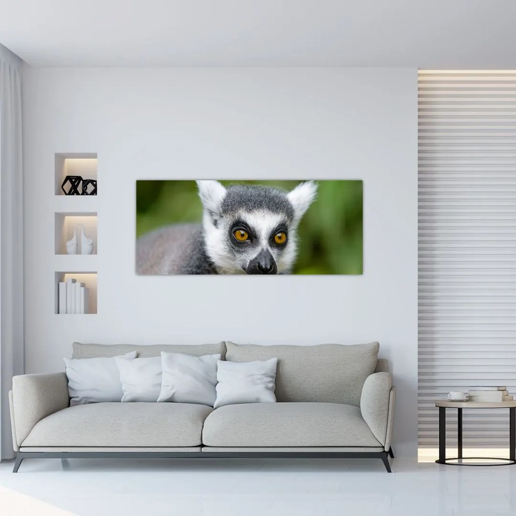 Obraz lemura (120x50 cm)