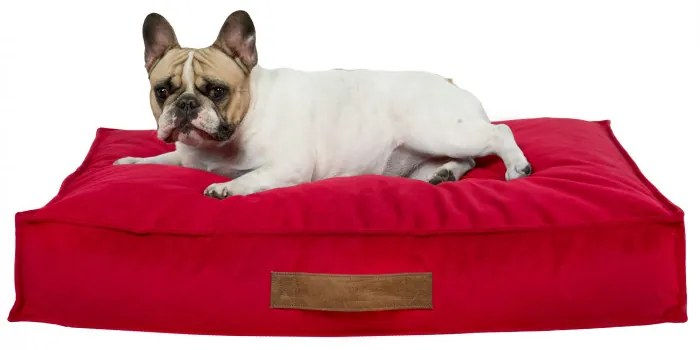 INTERMEDIC SK Obdĺžnikový peliešok pre psa Plyš – ortopedický, 3 veľkosti Farba: Červený, Veľkosť: 80x120 cm