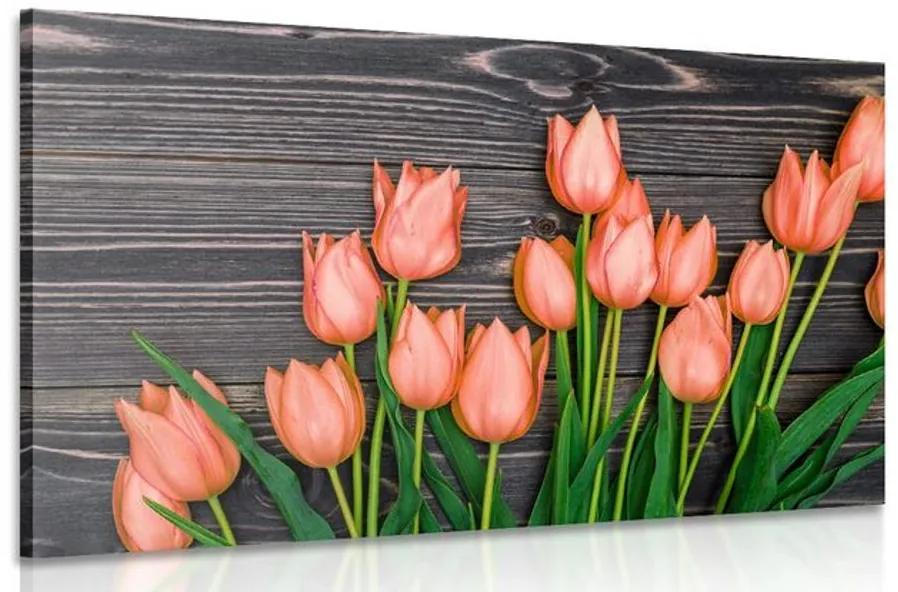 Obraz očarujúce oranžové tulipány na drevenom podklade Varianta: 60x40