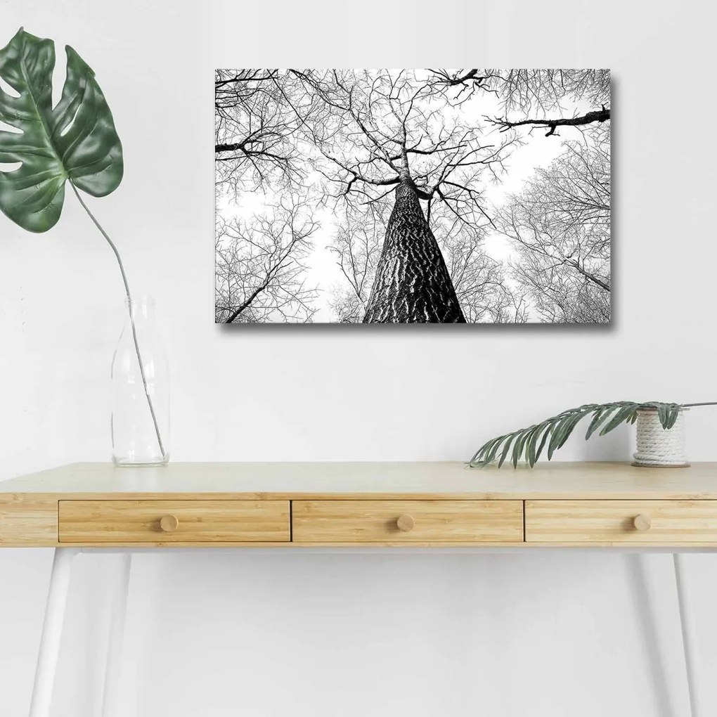 Maľba s LED osvetlením TREE ROOT 68 45 x 70 cm