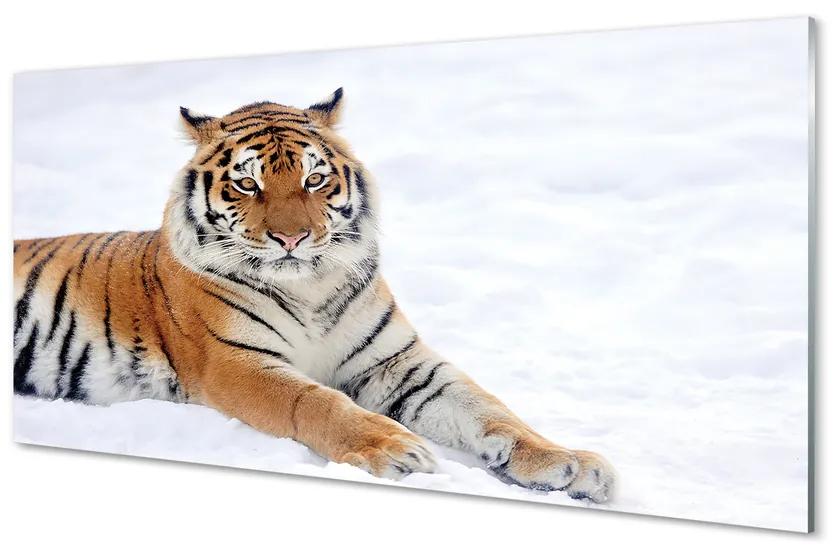 Obraz na akrylátovom skle Tiger winter 125x50 cm