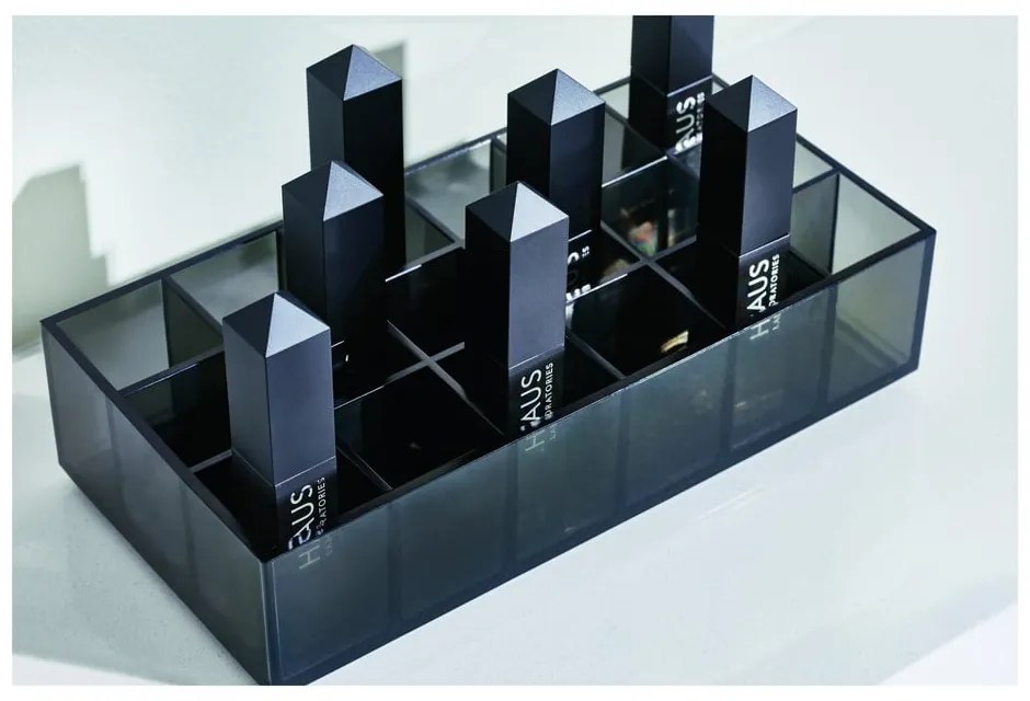 Matne čierny kúpeľňový organizér na kozmetiku z recyklovaného plastu Lip Station - iDesign