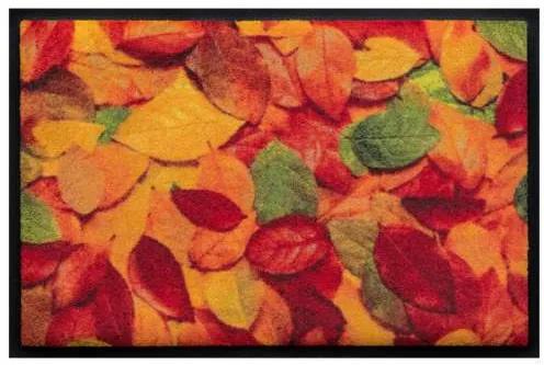 Ročné obdobia premium rohožka- farebné listy (Vyberte veľkosť: 60*40 cm)