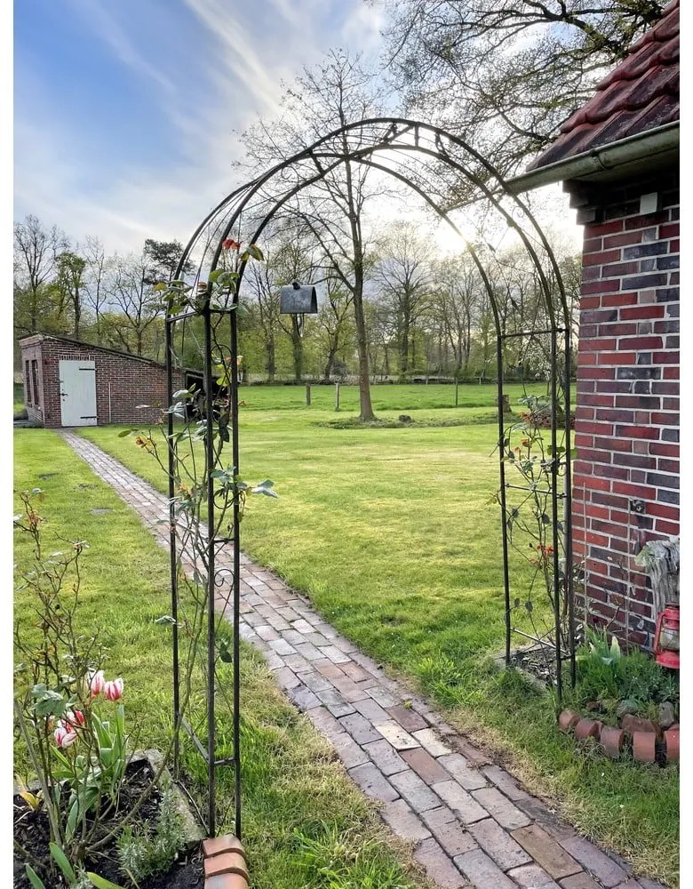 Oblúk na popínavé rastliny Mira - Garden Pleasure