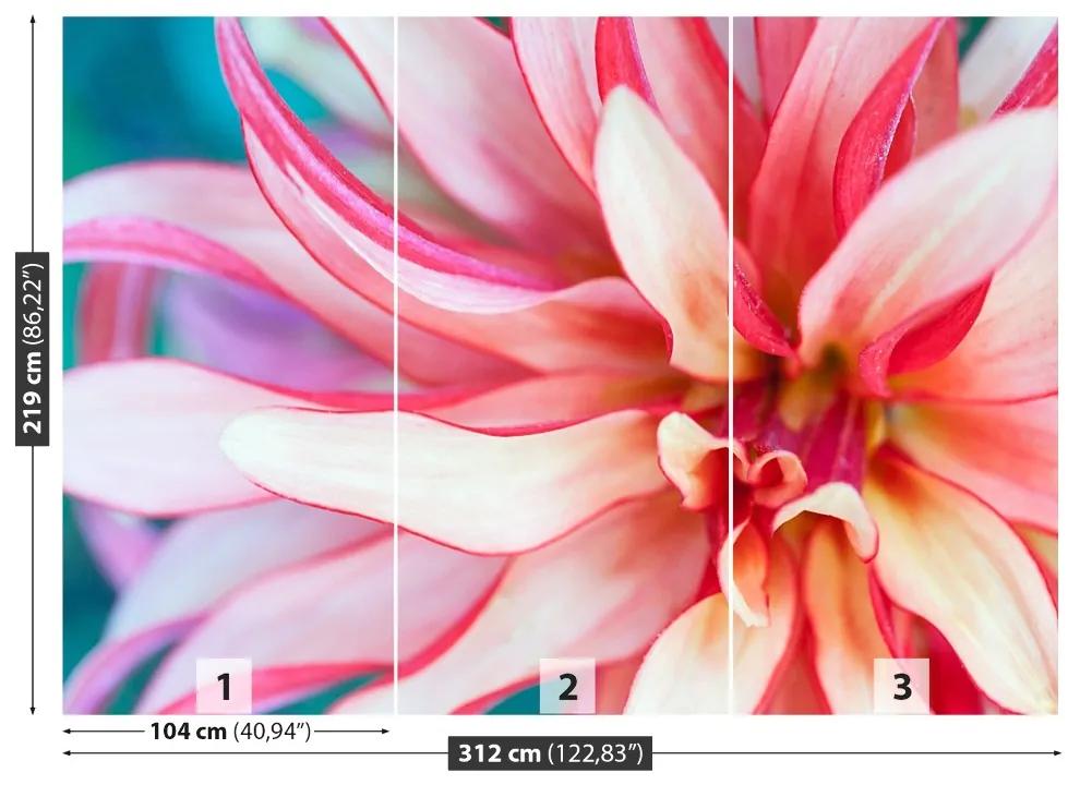 Fototapeta Vliesová Exotická kvetina 208x146 cm