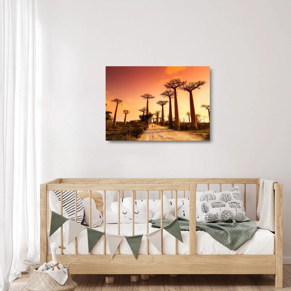 Sklenený obraz - Západ slnka v uličke Baobab (70x50 cm)