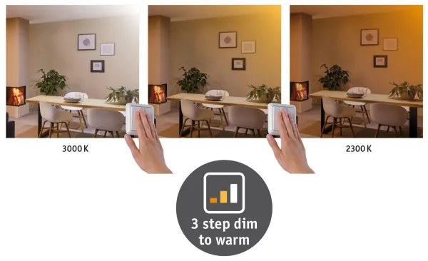 Paulmann 79799 - LED/19W Stropné svietidlo CARPO 230V 2300/2500/3000K