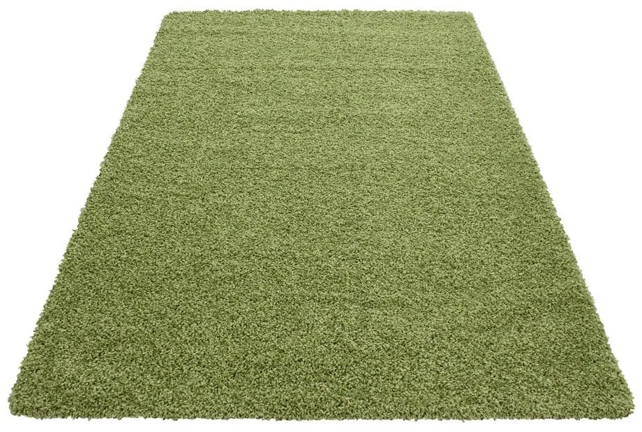 Zelený koberec 160x230 cm Life – Ayyildiz Carpets