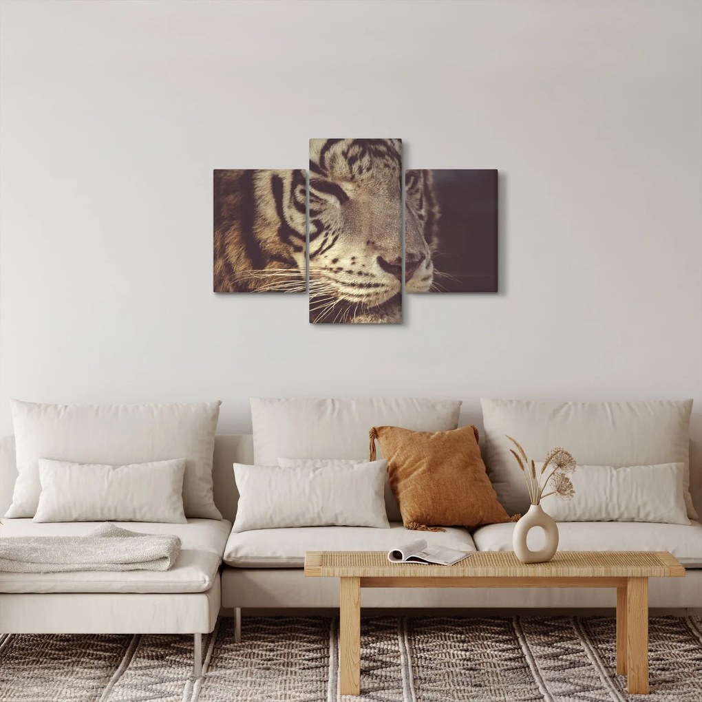 Obraz tigra (90x60 cm)