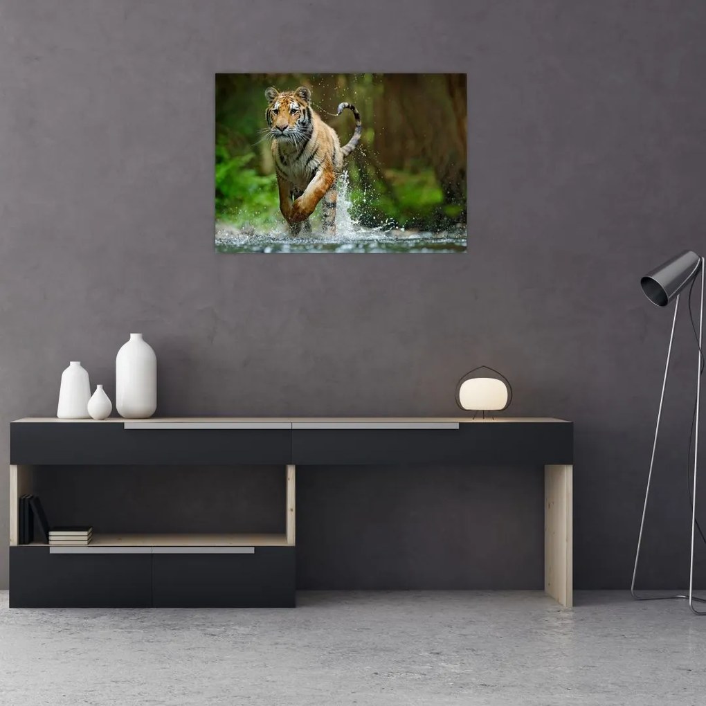 Sklenený obraz bežiaceho tigra (70x50 cm)