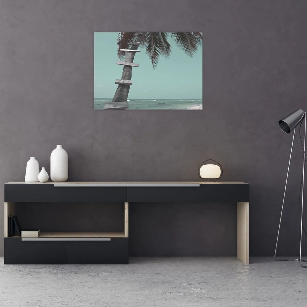 Obraz - Palma v Karibiku (70x50 cm)