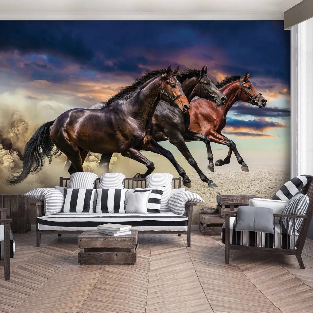 Fototapeta - Kôň (254x184 cm)