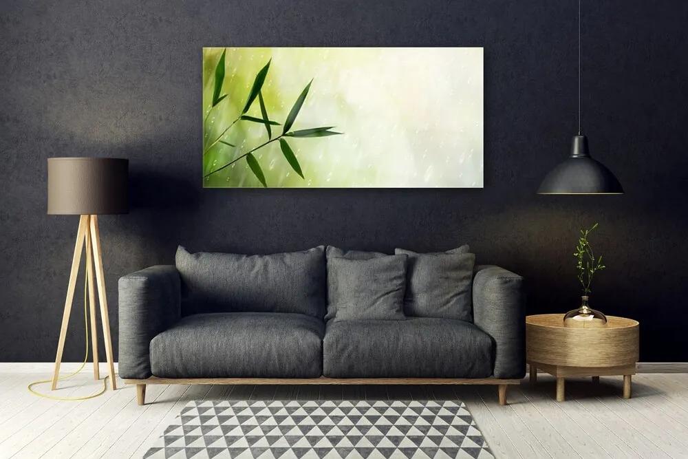 Obraz na akrylátovom skle Listy dážď 120x60 cm