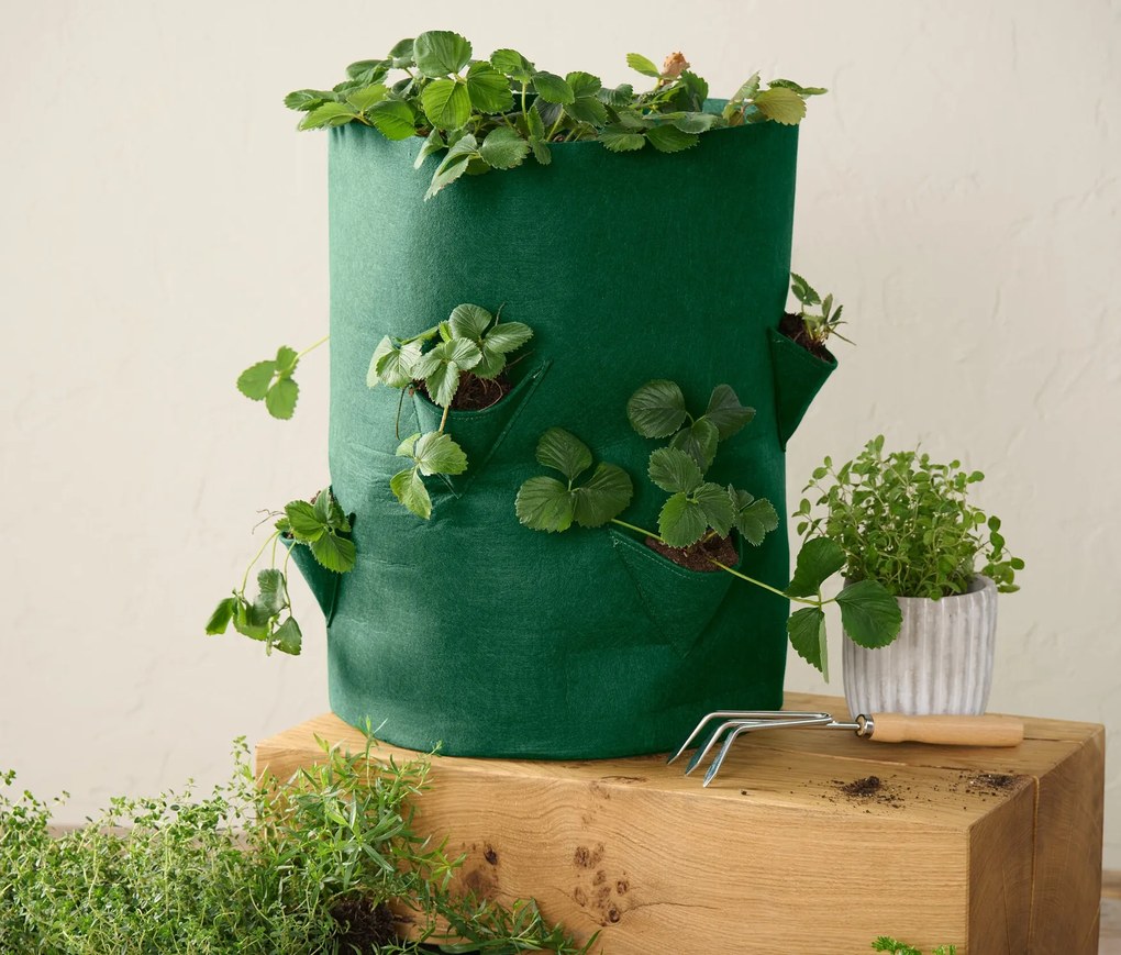 Taška na sadenie jahôd