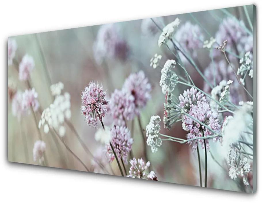Skleneny obraz Poľné kvety lúka príroda 120x60cm