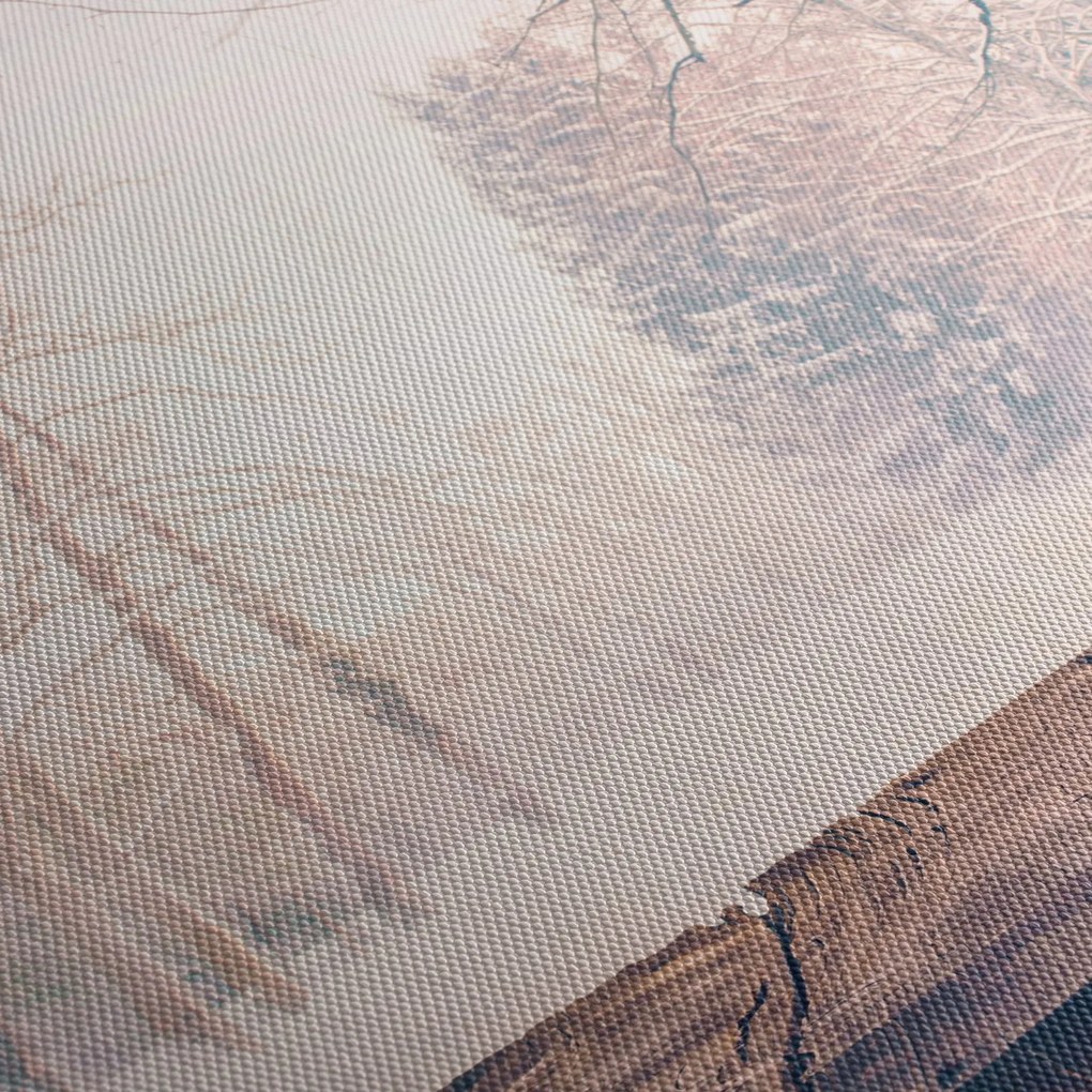 Obraz - Výhľad do lesa (90x60 cm)