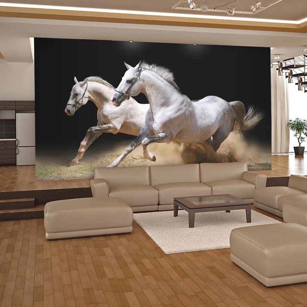 Fototapeta Bimago - Galloping horses on the sand + lepidlo zadarmo 200x154 cm
