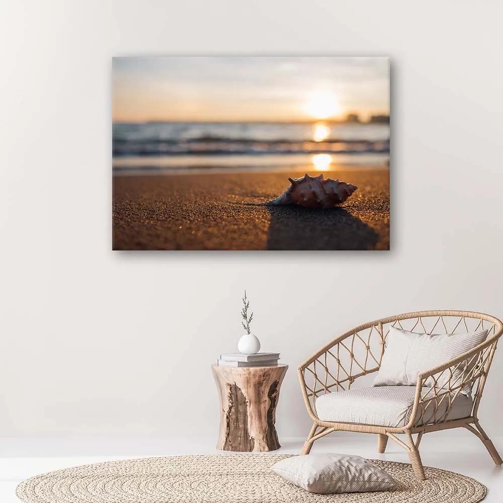 Gario Obraz na plátne Mušle na pláži Rozmery: 60 x 40 cm