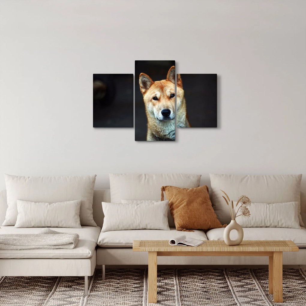 Obraz psa (90x60 cm)