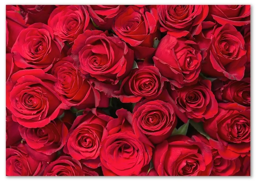 Fotoobraz na skle Červené ruže pl-osh-100x70-f-67561194