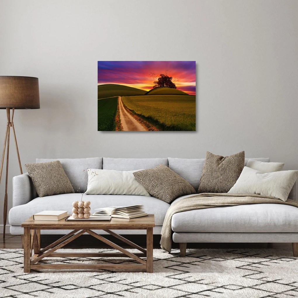 Sklenený obraz poľa a farebného neba (70x50 cm)