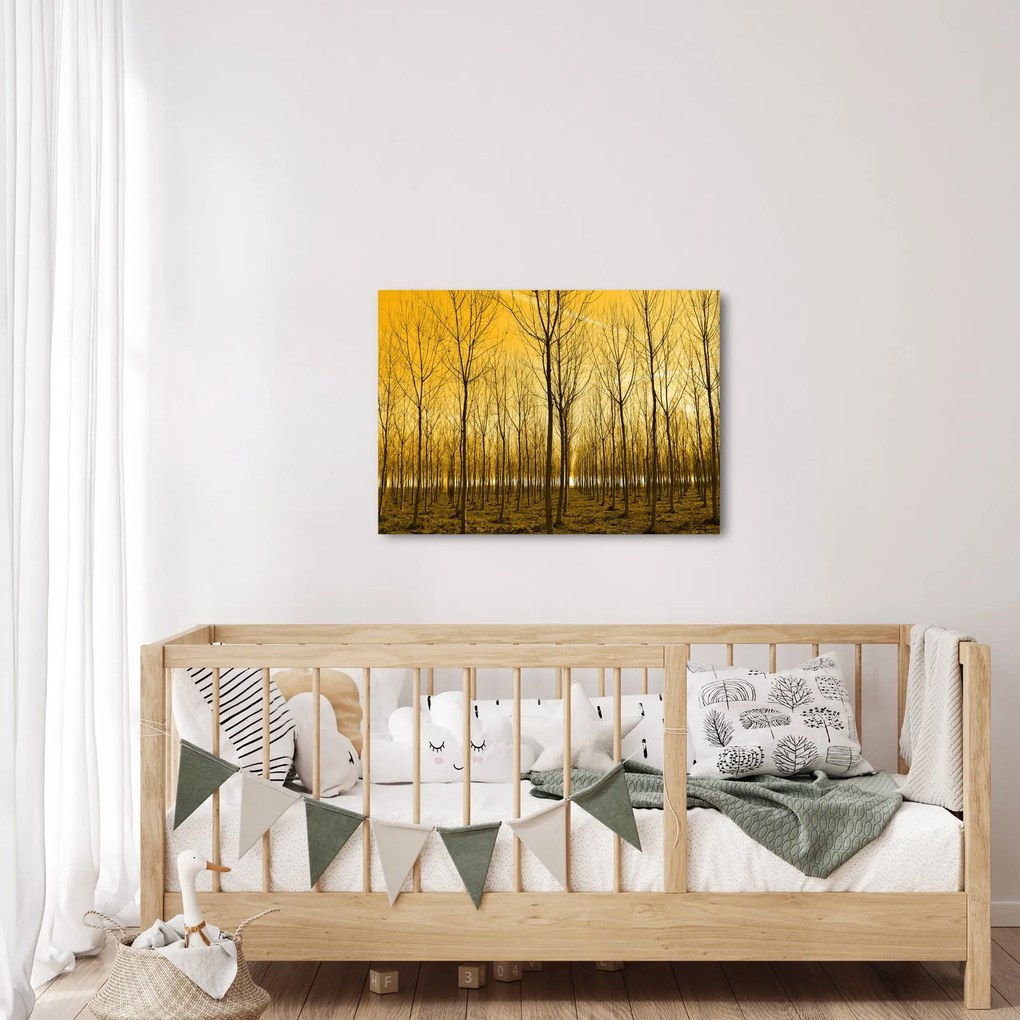 Obraz lesa pri západe slnka (70x50 cm)