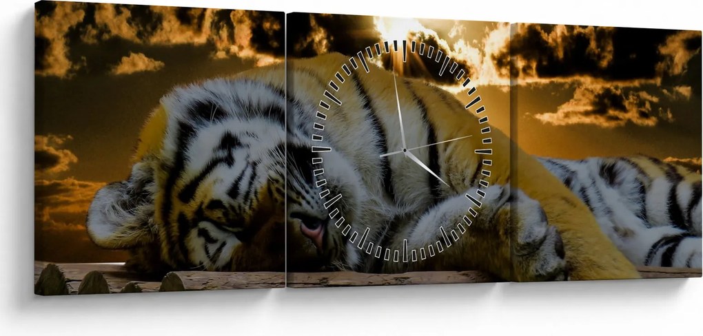 Obraz spiaceho tigra (s hodinami) (90x30 cm)