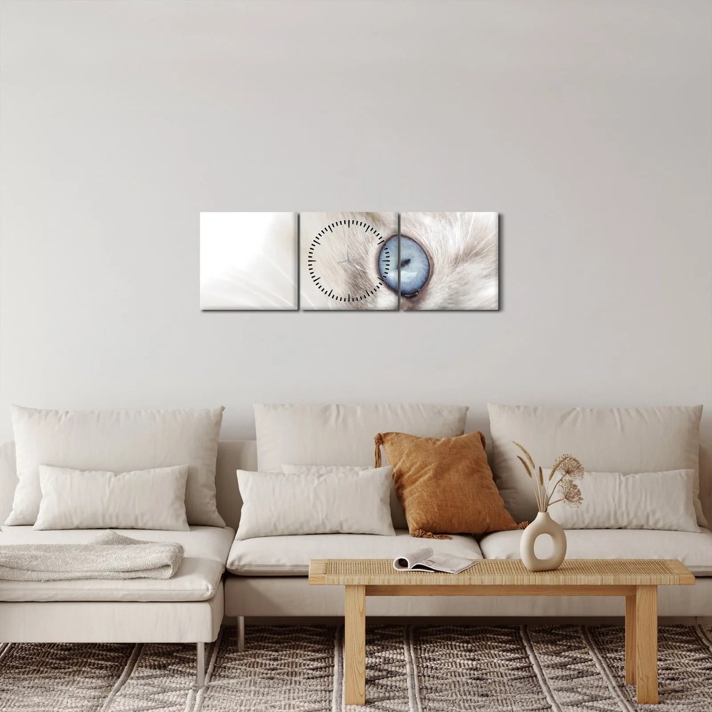 Obraz - Mačka s modrými očami (s hodinami) (90x30 cm)
