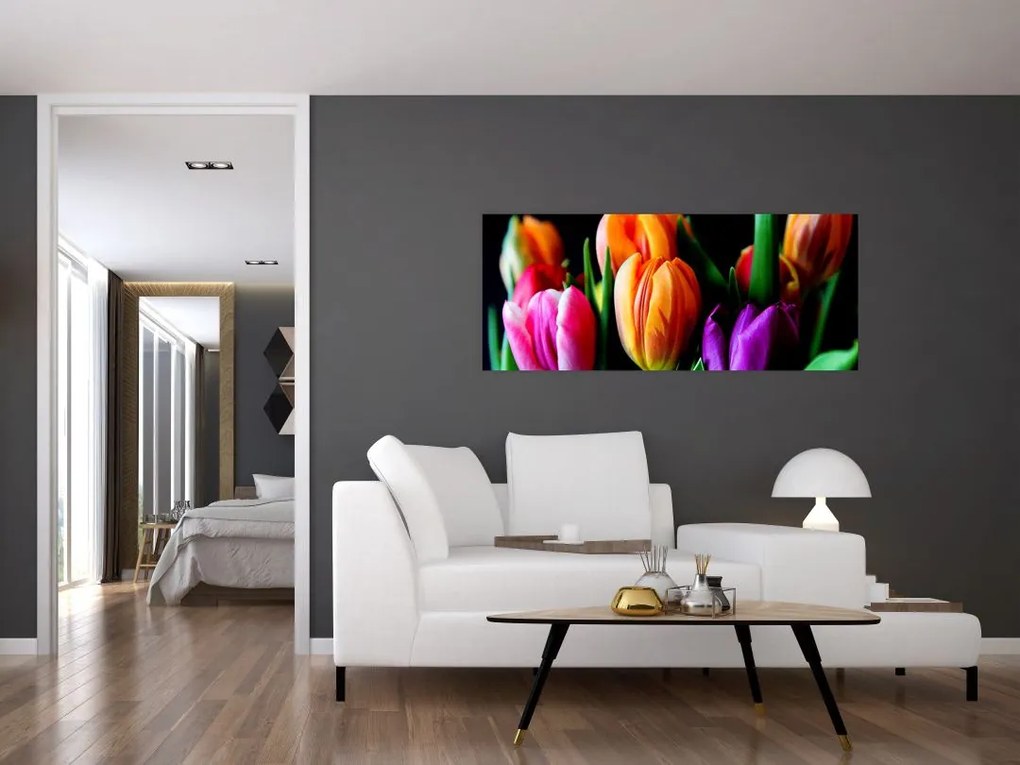 Obraz tulipánov na čiernom pozadí (120x50 cm)