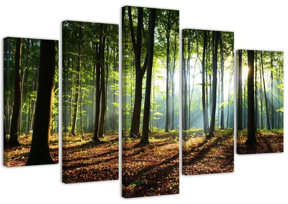 Gario Obraz na plátne Slnečné lúče v lese - 5 dielny Rozmery: 200 x 100 cm