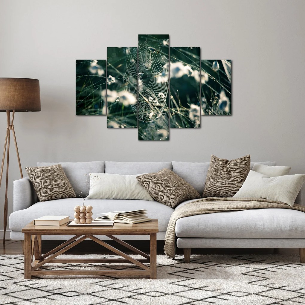 Obraz - Pavučina (150x105 cm)