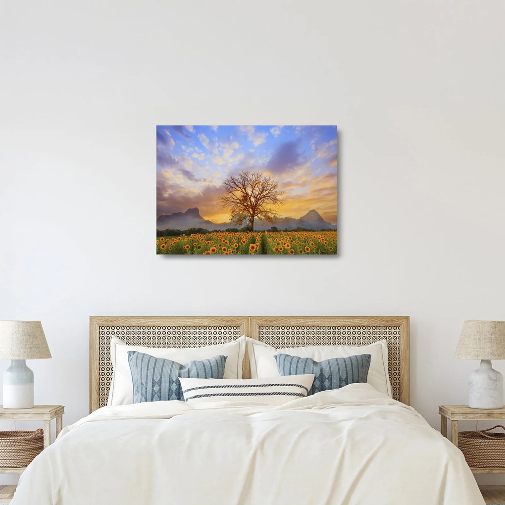 Sklenený obraz - Krajina so slnečnicami (70x50 cm)