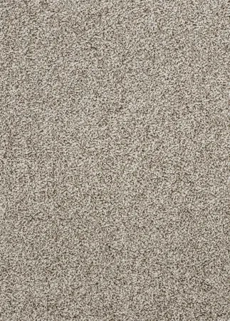 Koberce Breno Metrážny koberec DAKOTA 1025 - 67, šíře role 400 cm, béžová, viacfarebná