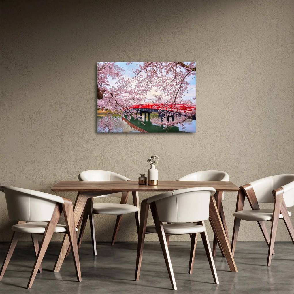 Obraz - Hirosaki, Japonsko (70x50 cm)