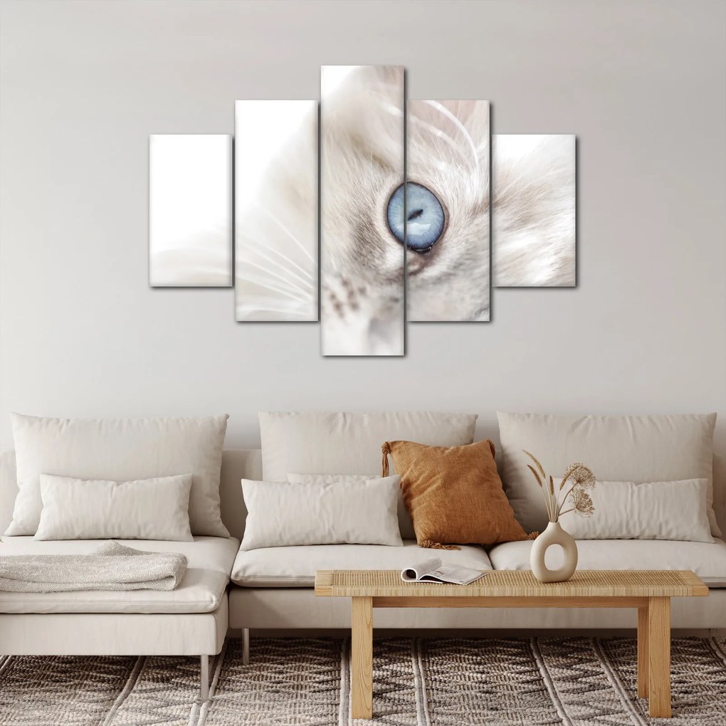 Obraz - Mačka s modrými očami (150x105 cm)