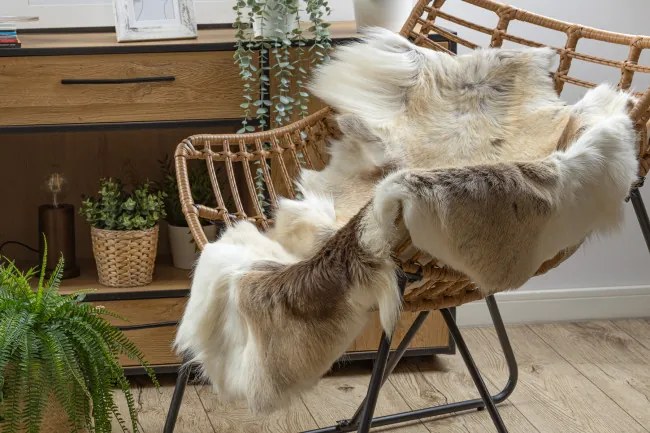 Koberec RENIFER POK016 hnedý / béžový