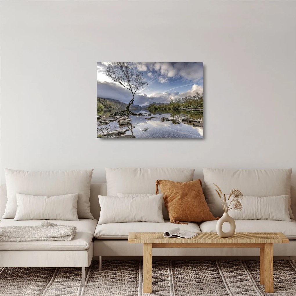 Sklenený obraz rieky za stromom (70x50 cm)