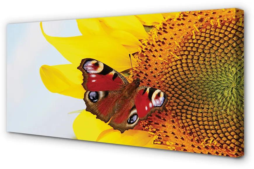 Obraz na plátne slnečnica motýľ 100x50 cm
