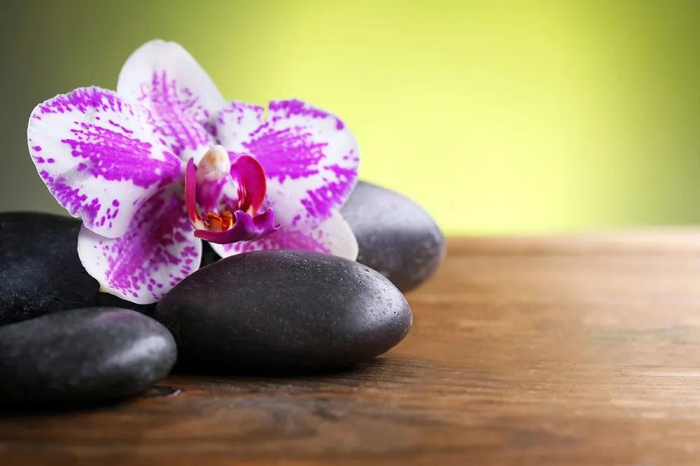 Fototapeta zen kamene s orchideou