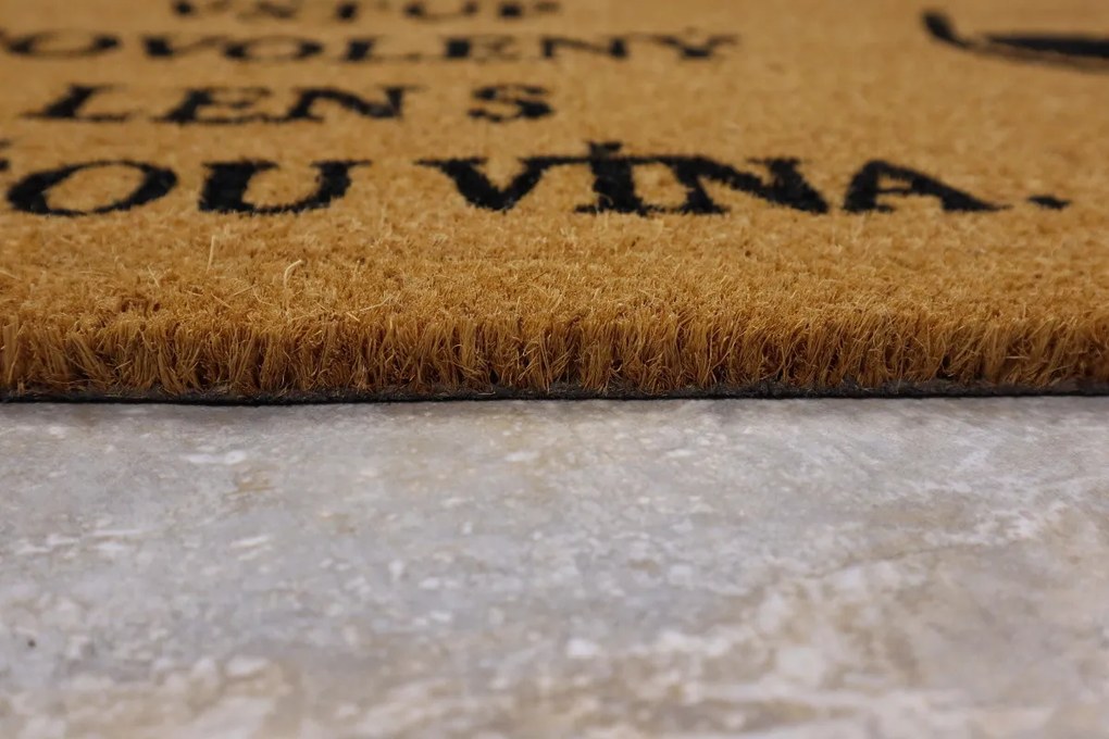 Rohožka Kokos Ľan s lahví vína - na von aj na doma, 40x60, hnedá, chodba / predsieň, Trade Concept