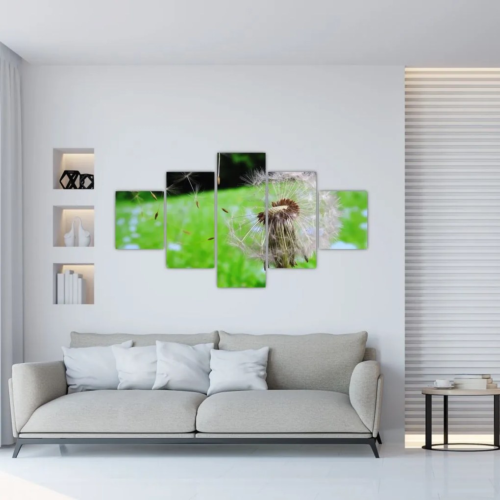 Obraz púpavy (125x70 cm), 40 ďalších rozmerov