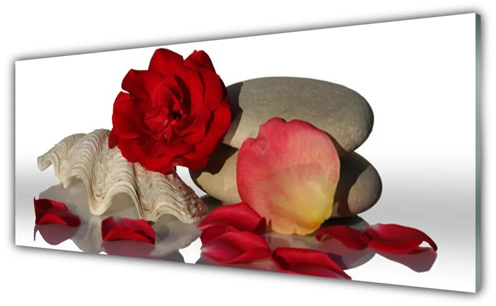 Obraz plexi Ruže plátky mŕtva príroda 125x50 cm
