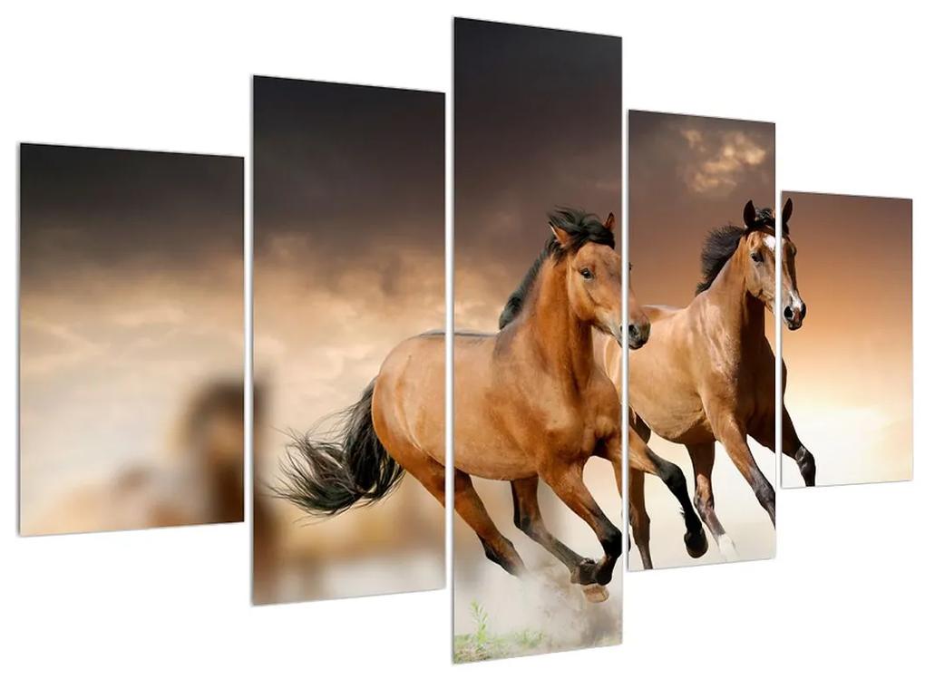 Obraz koní (150x105 cm)