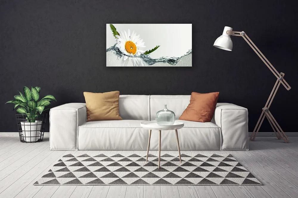 Obraz Canvas Sedmokráska vo vode 125x50 cm
