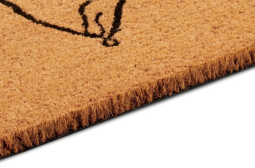 Hanse Home, Rohožka Kvety 106202 - na von aj na doma, 40x70, hnedá, chodba / predsieň