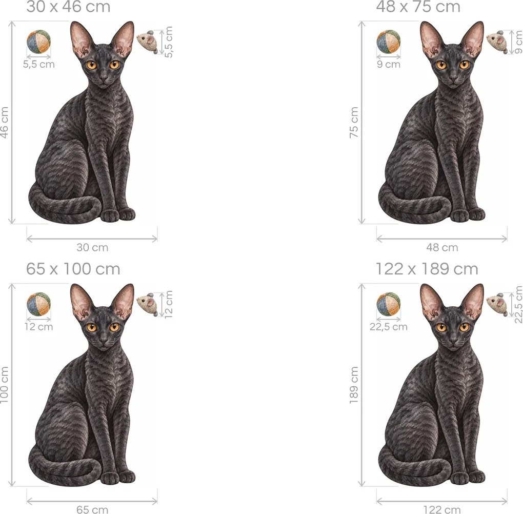Mačka cornish rex tmavé mačacie nálepky na stenu pre milovníkov mačiek arch 30 x 46 cm