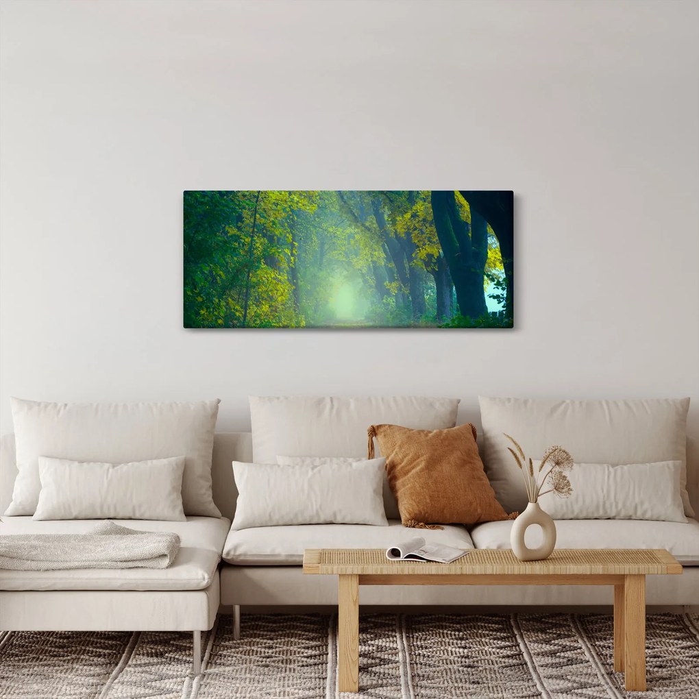 Obraz cesty lemovanej stromami (120x50 cm)
