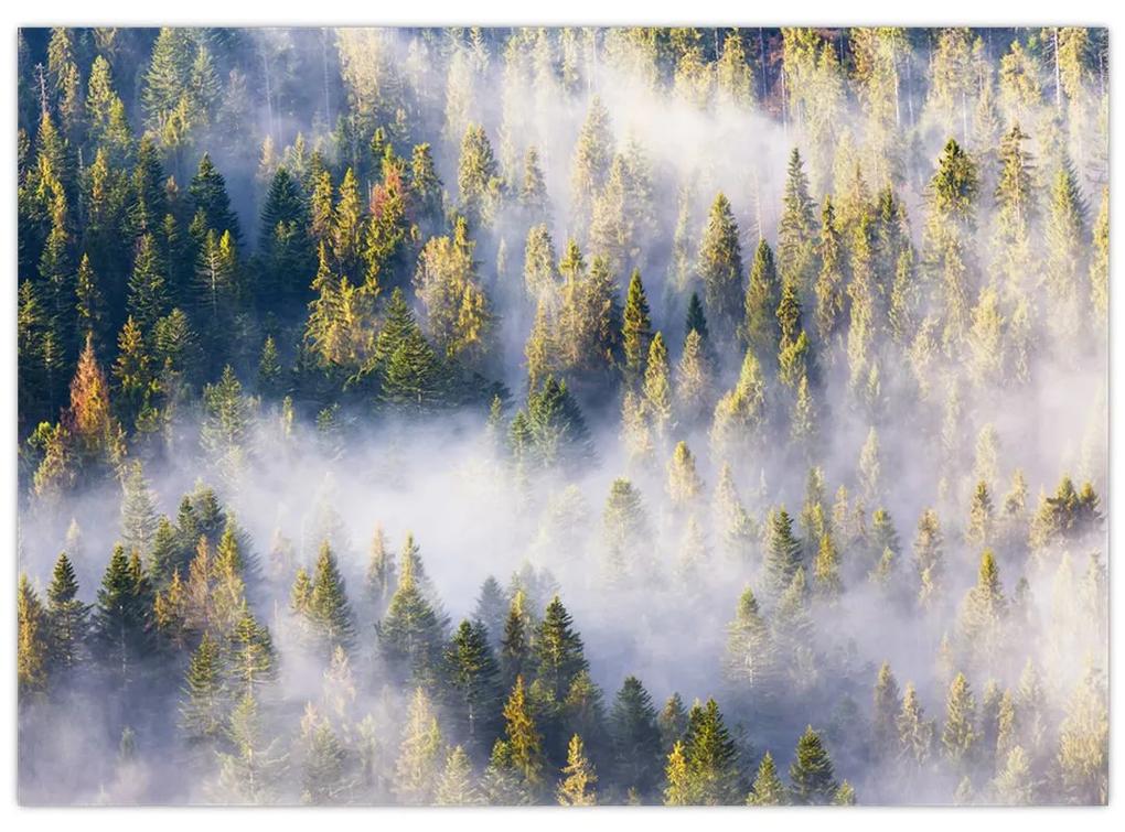 Sklenený obraz stromov v hmle (70x50 cm)
